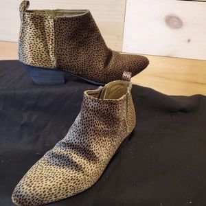 Spotted Print ankle high boots